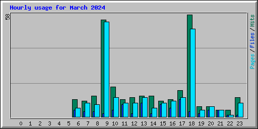 Hourly usage for March 2024