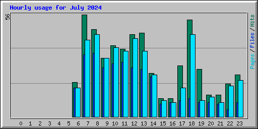 Hourly usage for July 2024