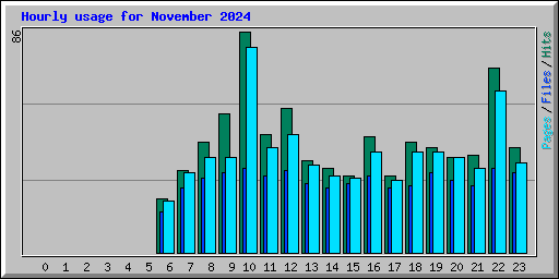 Hourly usage for November 2024
