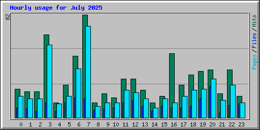 Hourly usage for July 2025