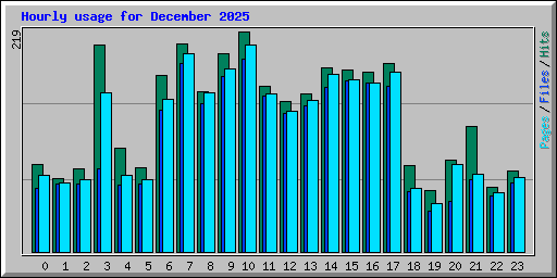 Hourly usage for December 2025