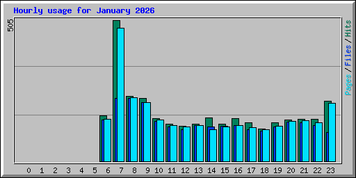 Hourly usage for January 2026
